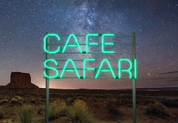 Дмитрий Маликов - Cafe Safari