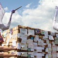 Пустые Холмы 2011