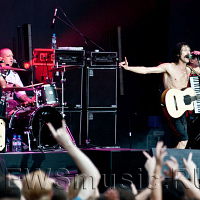 Gogol Bordello