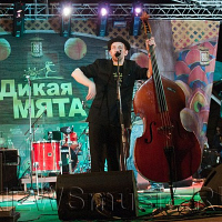 Billy's Band на «Дикой мяте»