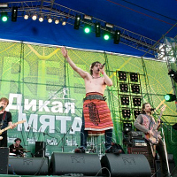 Zdob si Zdub на «Дикой мяте»