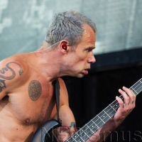 Red Hot Chili Peppers