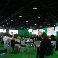 MIDEM 2013