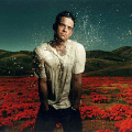 15 Robbie Williams