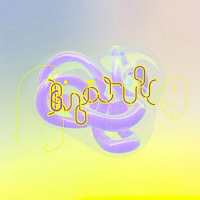 Bjork - Vulnicure