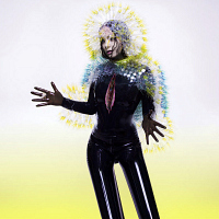 Bjork — «Vulnicura»