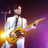 Prince 2009