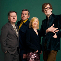 Pulp