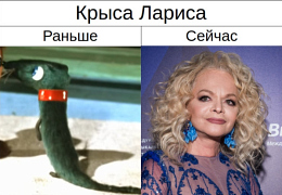 Лариса Долина мем